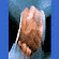 Negotiating_Pay_Rise_Image