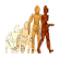 Psychometric_Assessments_Image